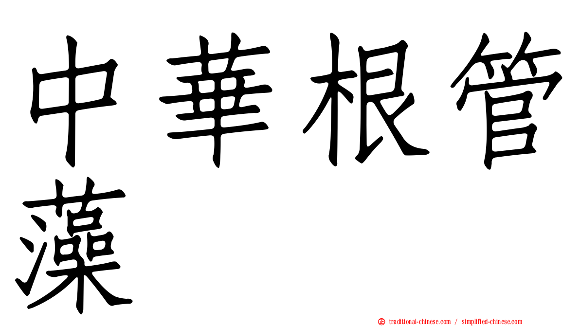 中華根管藻