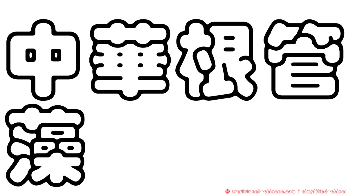 中華根管藻