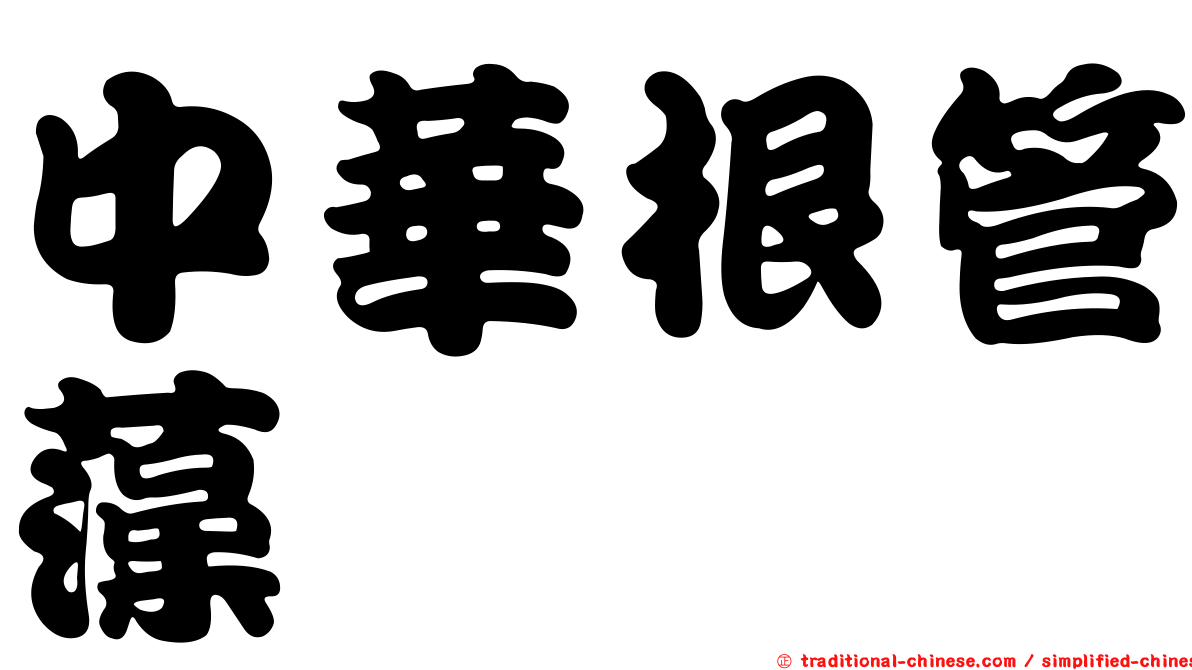 中華根管藻