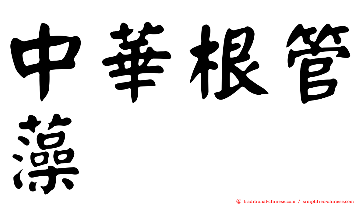 中華根管藻