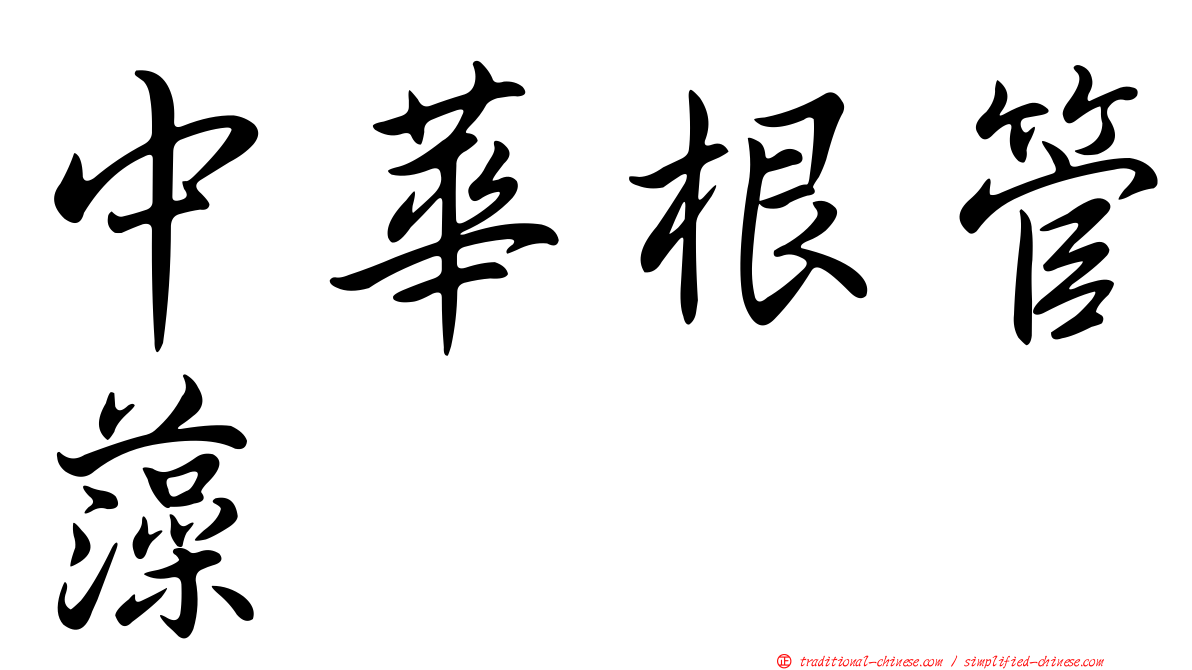 中華根管藻