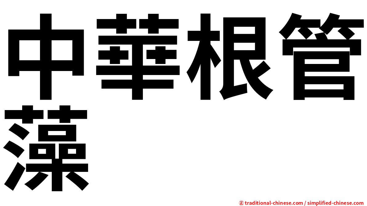 中華根管藻