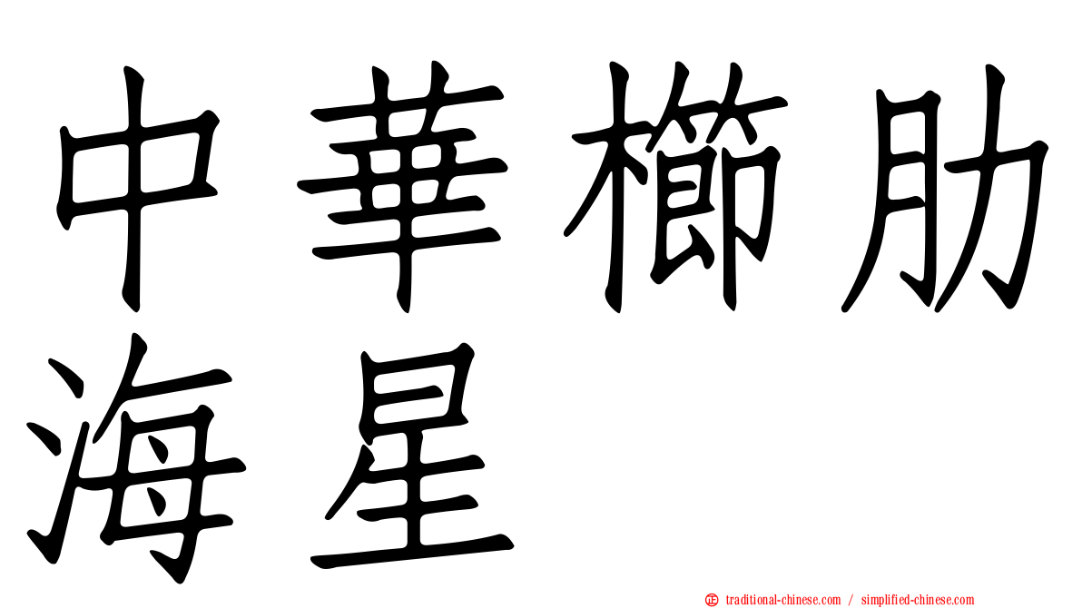 中華櫛肋海星
