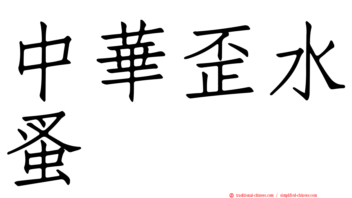 中華歪水蚤