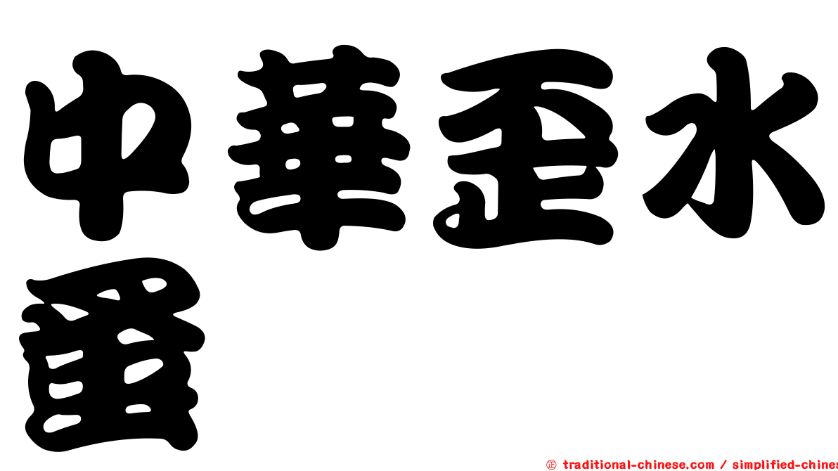 中華歪水蚤