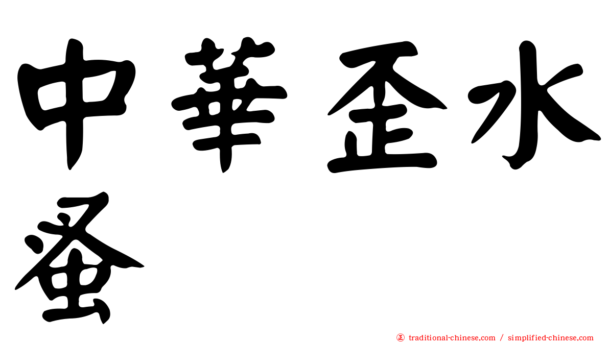 中華歪水蚤