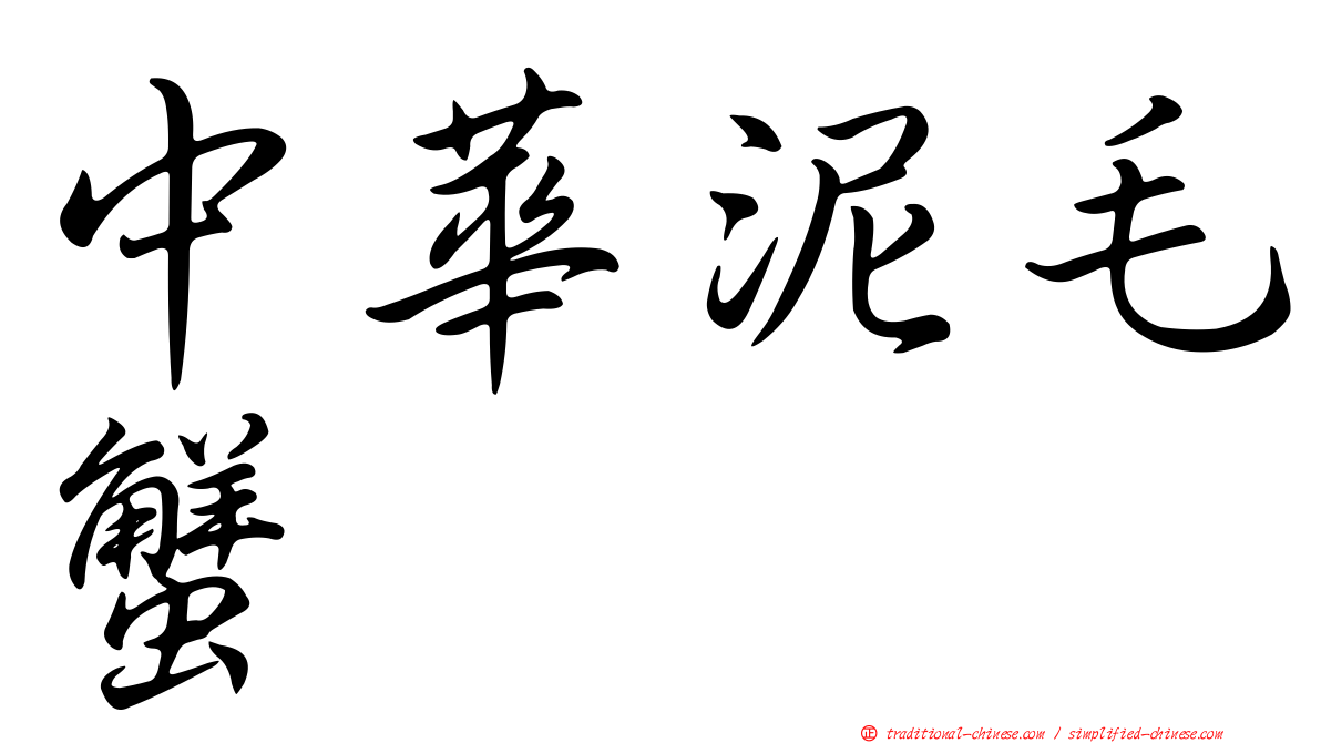 中華泥毛蟹