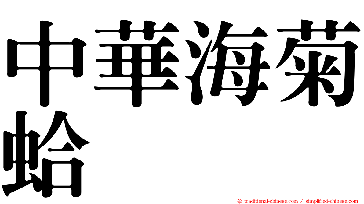 中華海菊蛤
