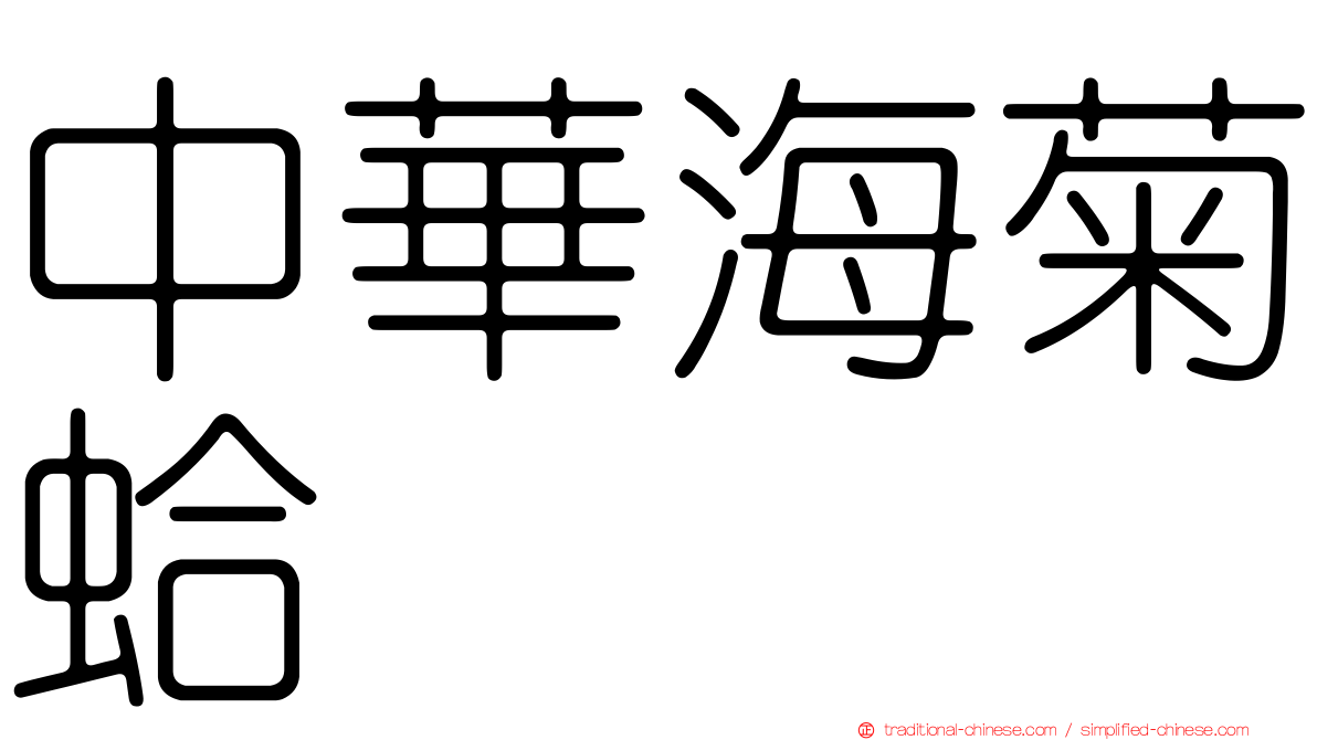 中華海菊蛤