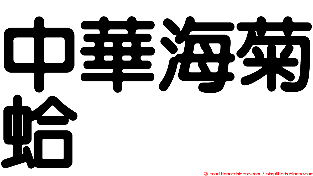 中華海菊蛤