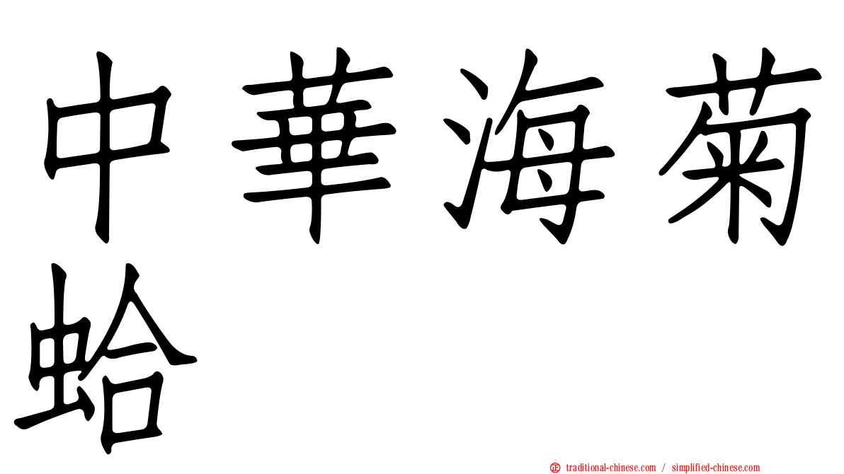 中華海菊蛤