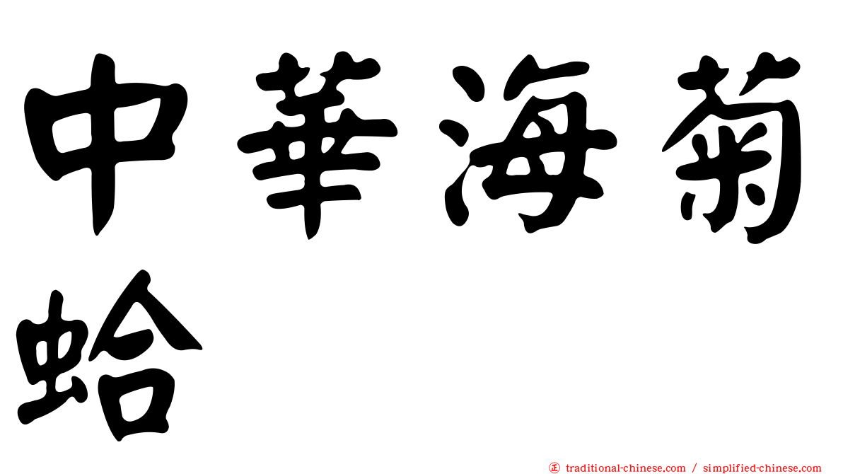 中華海菊蛤