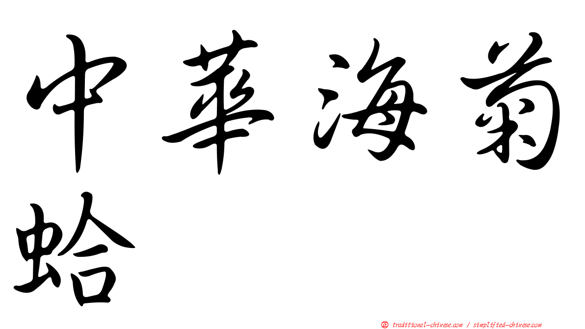 中華海菊蛤