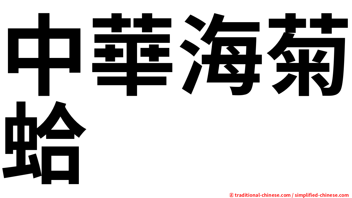 中華海菊蛤