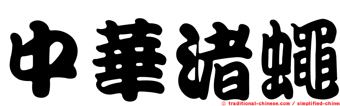 中華渚蠅