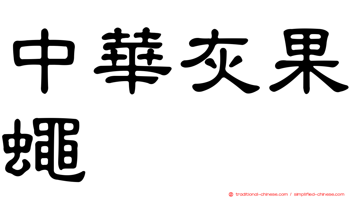 中華灰果蠅