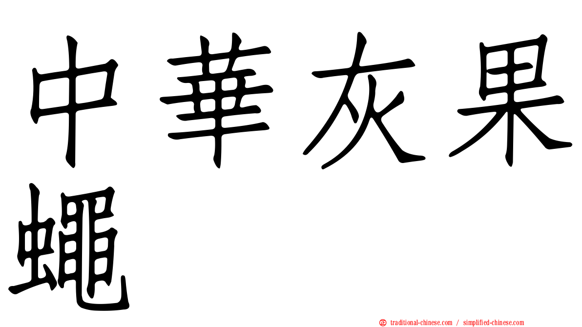 中華灰果蠅