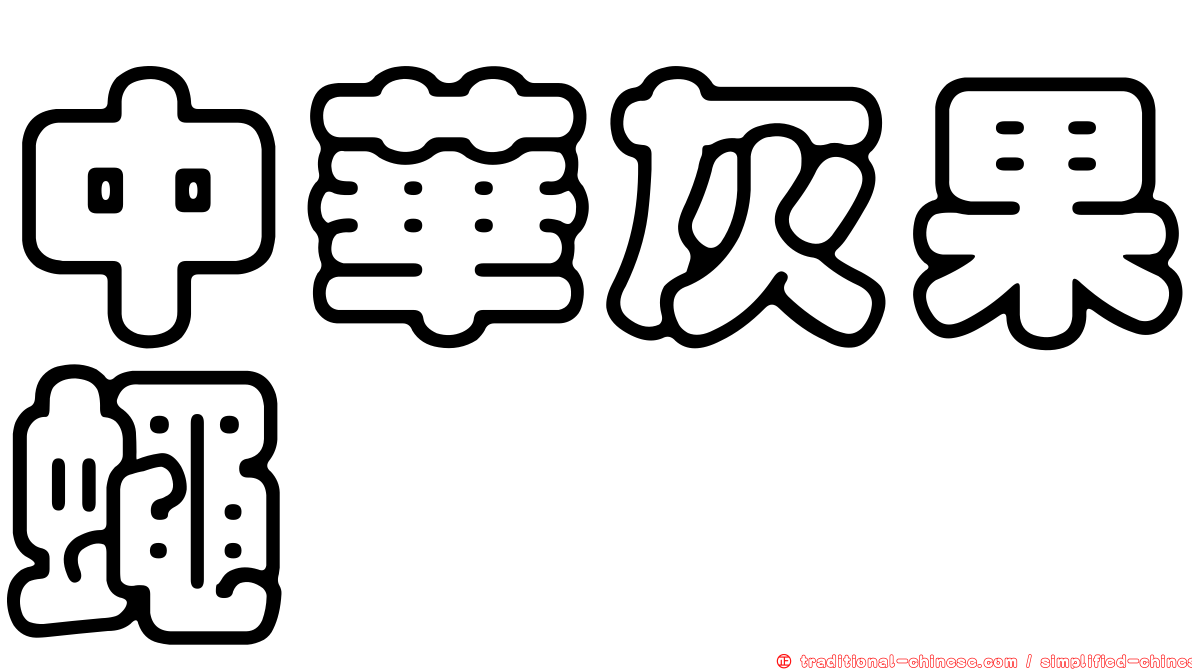 中華灰果蠅