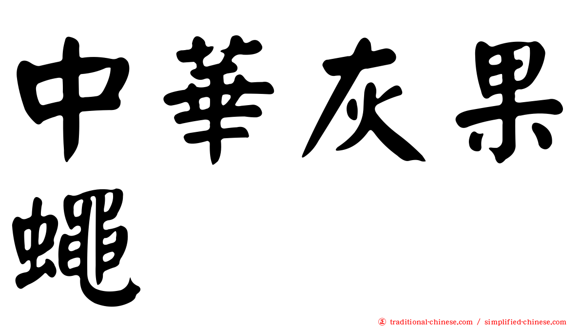 中華灰果蠅