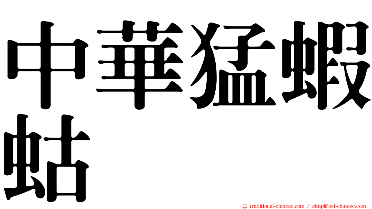 中華猛蝦蛄