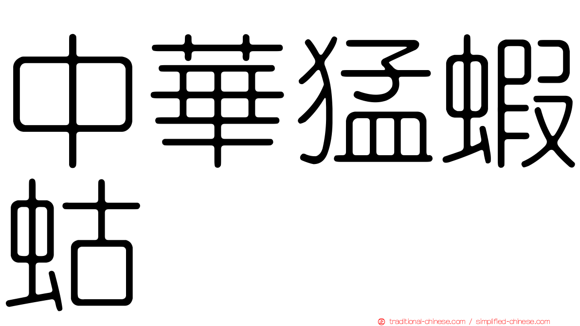 中華猛蝦蛄