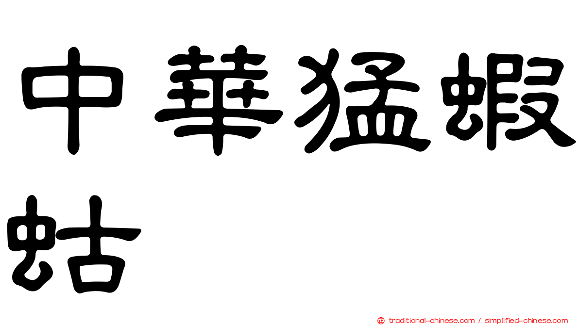 中華猛蝦蛄