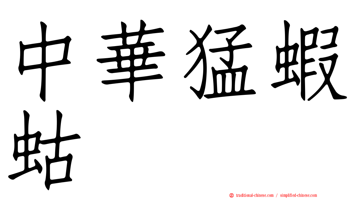 中華猛蝦蛄