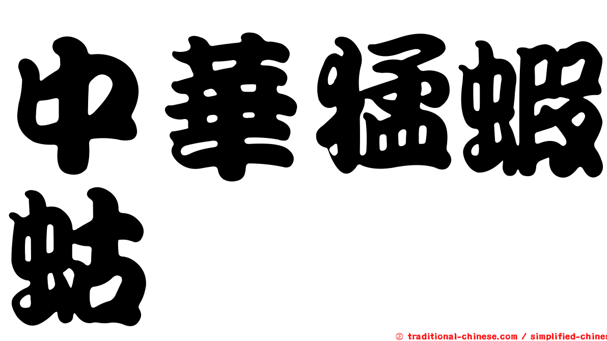 中華猛蝦蛄
