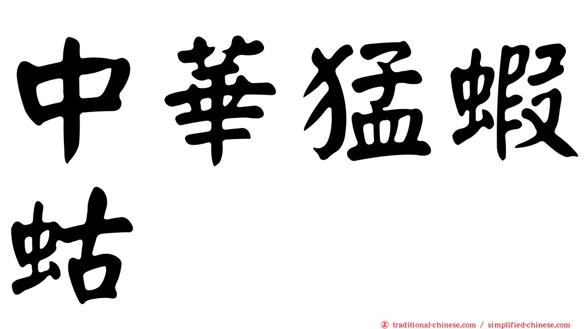中華猛蝦蛄