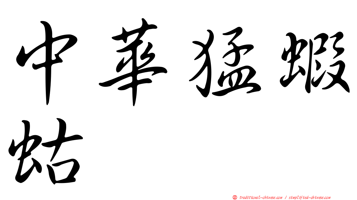 中華猛蝦蛄