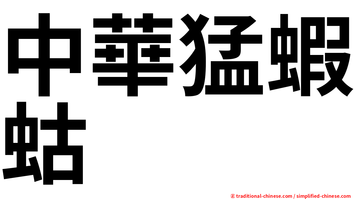 中華猛蝦蛄