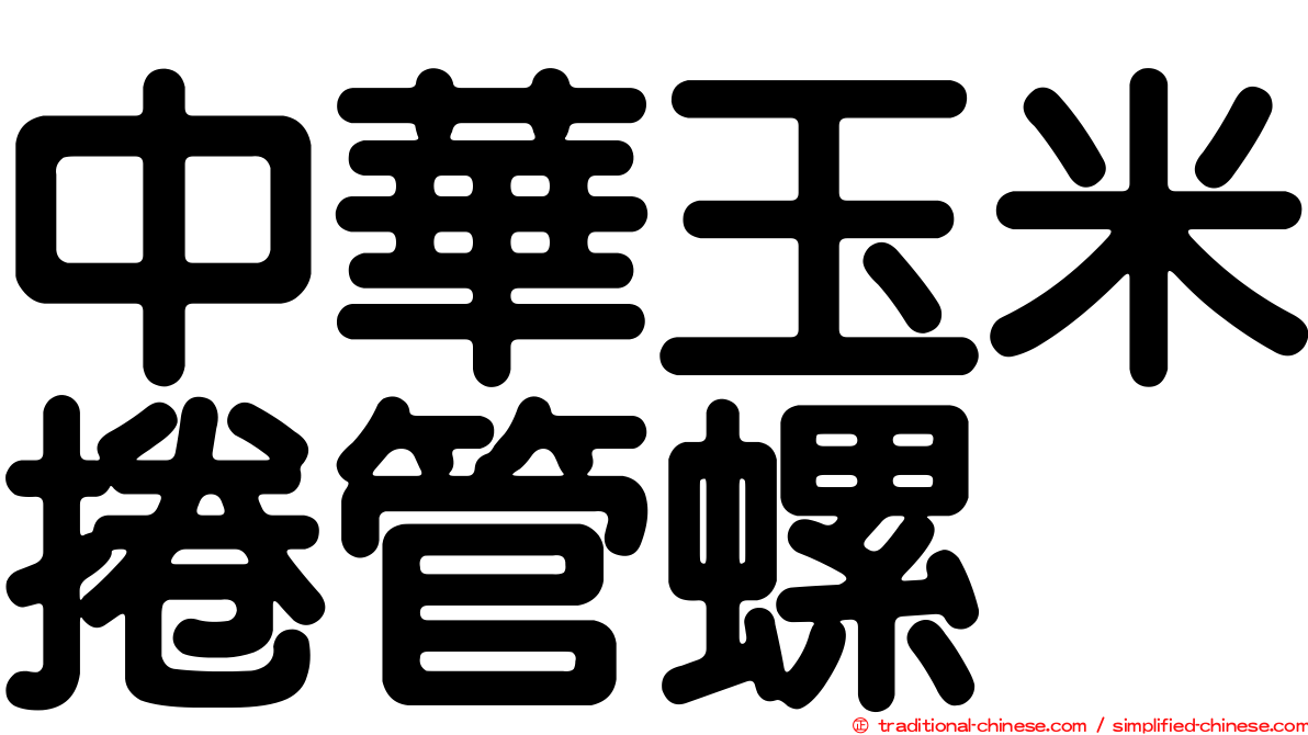 中華玉米捲管螺