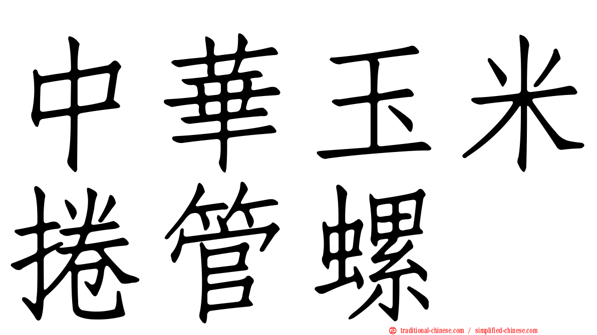 中華玉米捲管螺