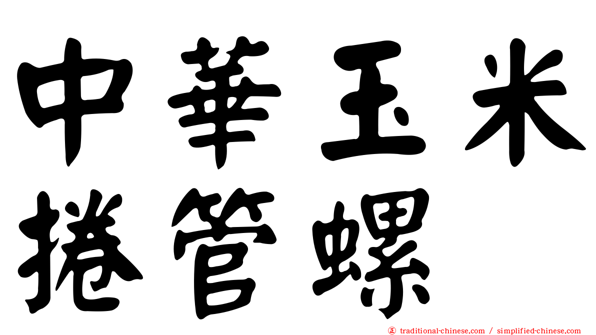 中華玉米捲管螺