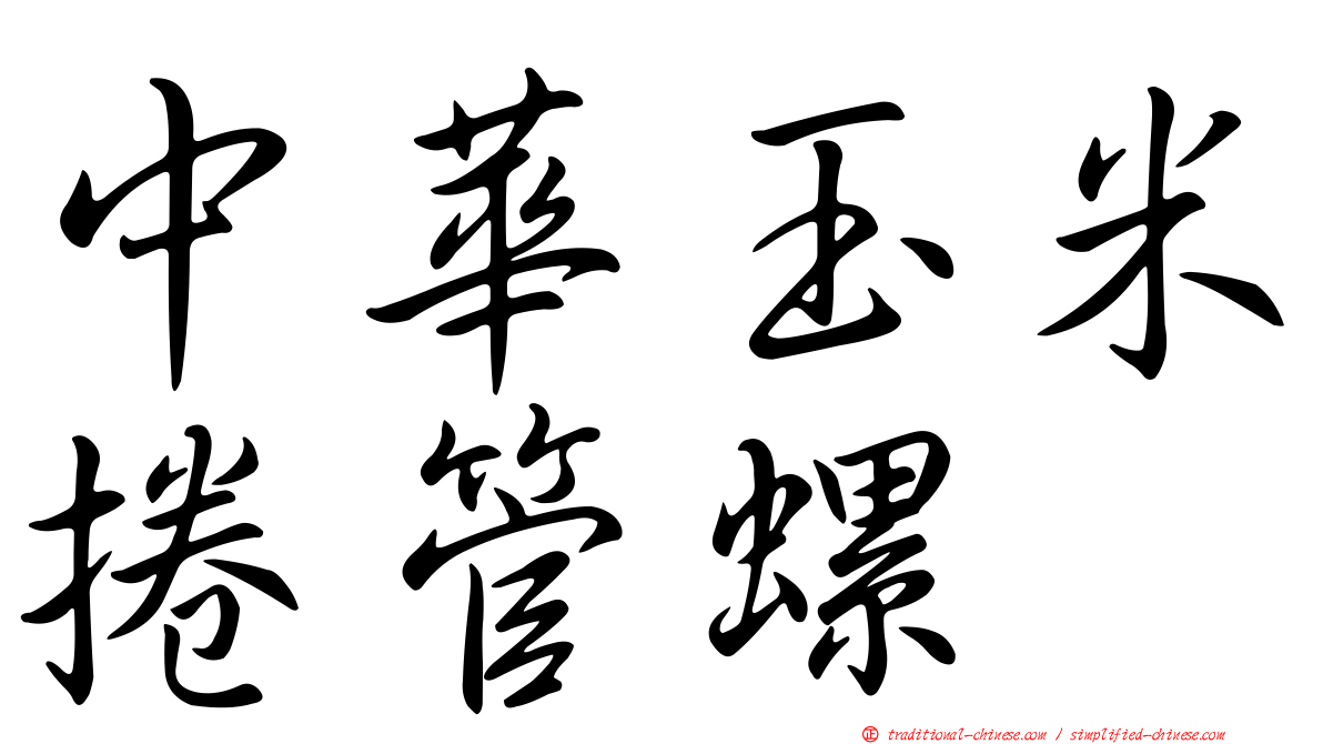 中華玉米捲管螺