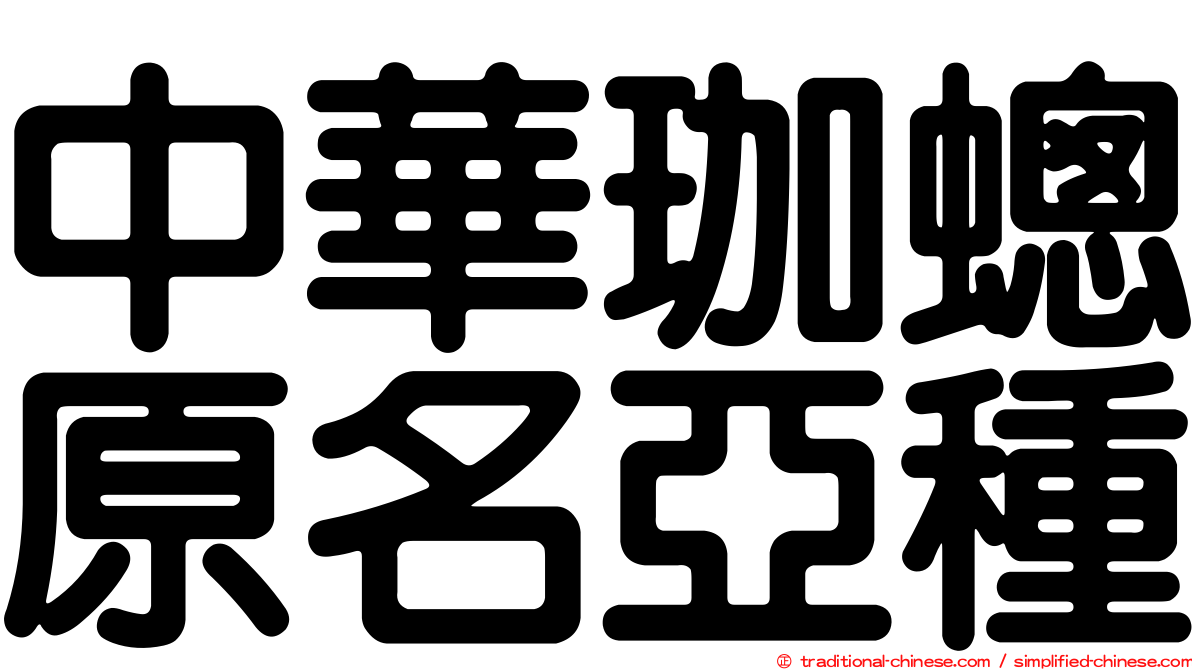中華珈蟌原名亞種