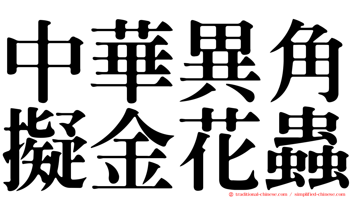 中華異角擬金花蟲