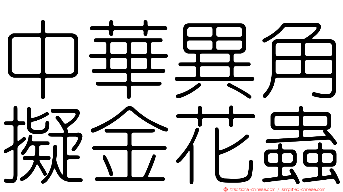 中華異角擬金花蟲