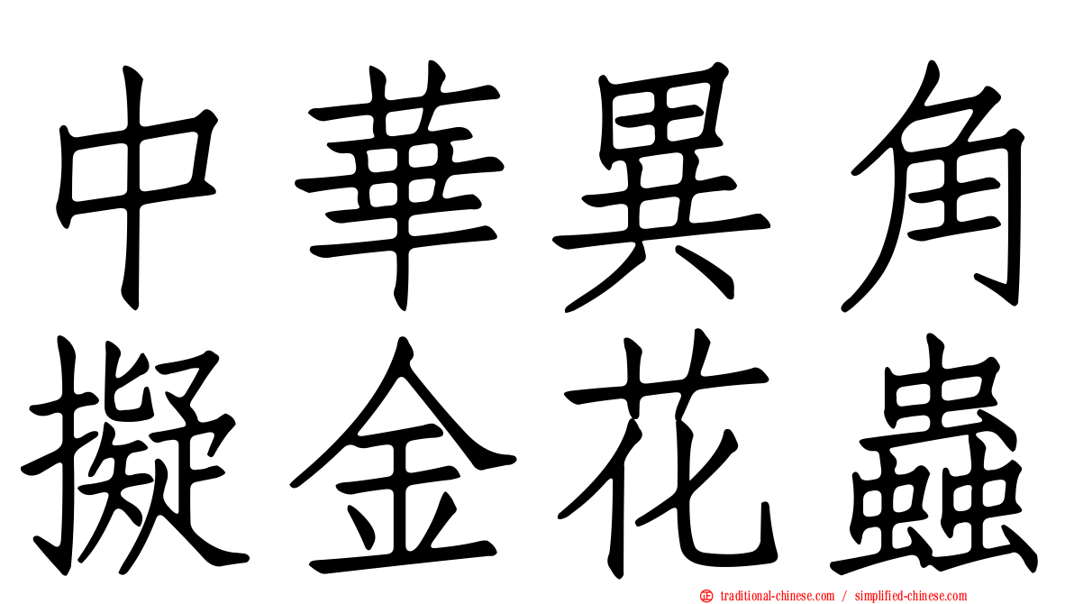 中華異角擬金花蟲