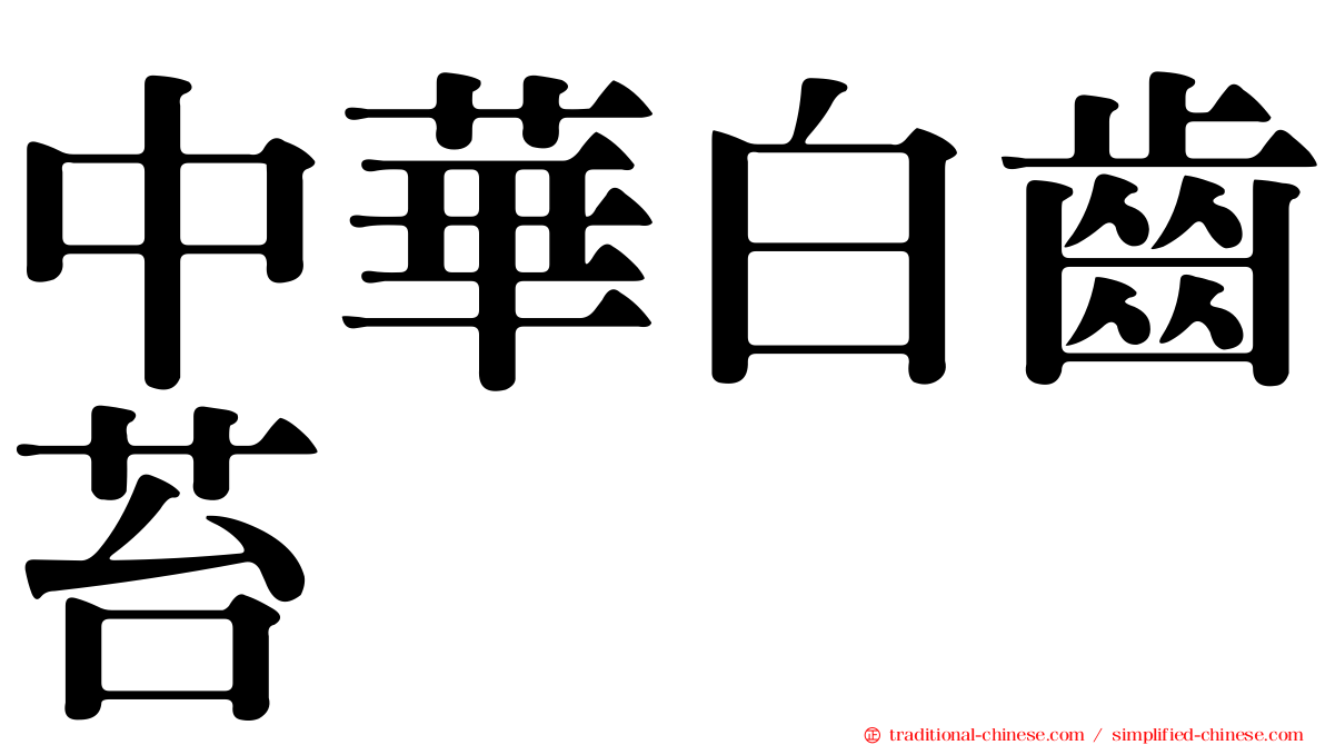 中華白齒苔