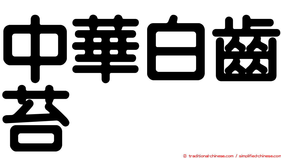 中華白齒苔