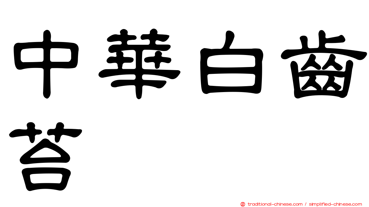 中華白齒苔