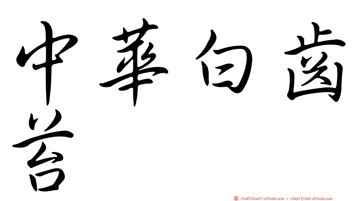 中華白齒苔