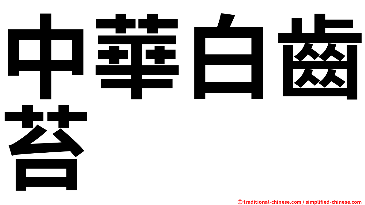 中華白齒苔