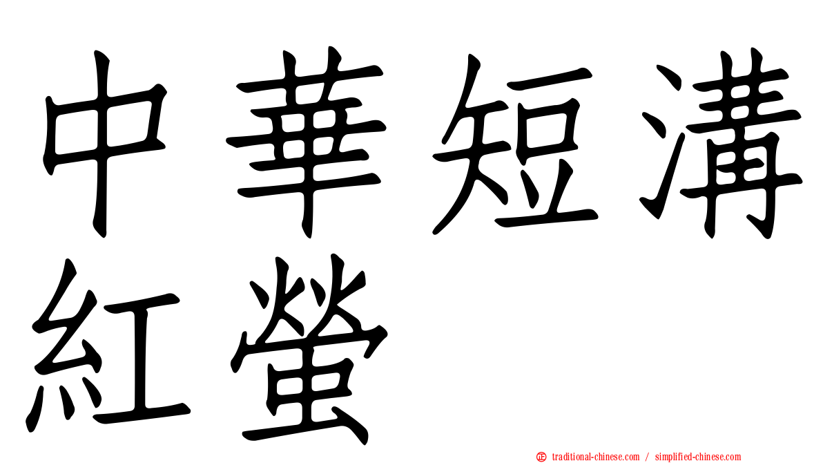 中華短溝紅螢