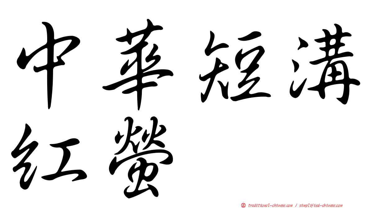中華短溝紅螢