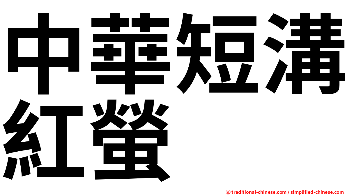 中華短溝紅螢