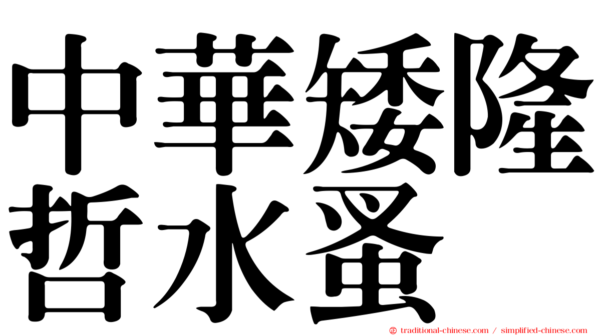 中華矮隆哲水蚤