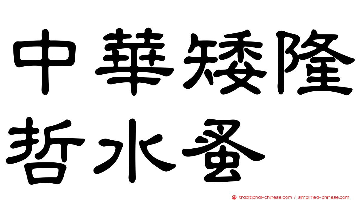 中華矮隆哲水蚤