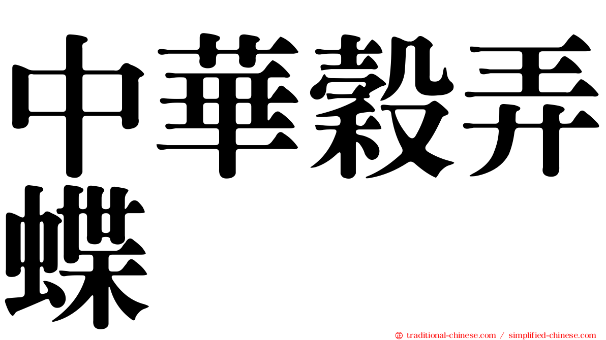 中華穀弄蝶